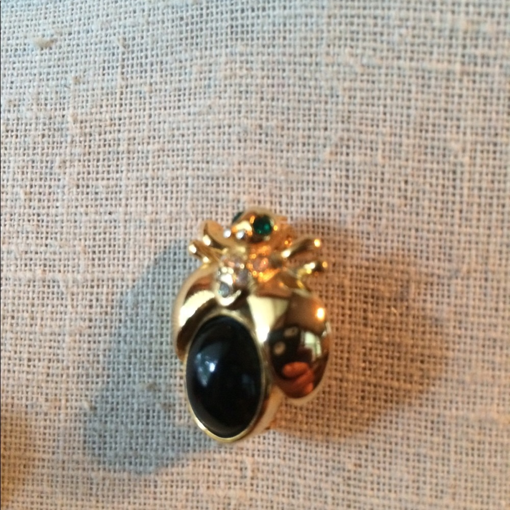Insect Brooch